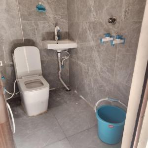 a bathroom with a toilet and a sink and a bucket at Shri om paradise inn in Mathura +5 photos