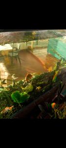 a pile of vegetables sitting on top of a table at Hotel Lancers in Paipa