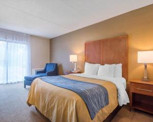 a hotel room with a bed and a blue chair at Comfort Inn in Bathurst