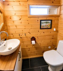 a bathroom with a toilet and a sink at Grand Mountain Lodge Filefjell in Tyinkrysset
