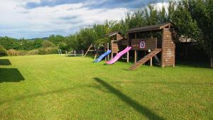 a group of playground equipment in a grass field at LA LIVADA in Valea Danului +63 photos