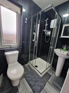 a bathroom with a toilet and a shower and a sink at Pet-Friendly Home with Secure Garden nr Beamish in Birtley
