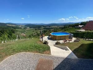 an external view of a house with a swimming pool at Vineyard Cottage Joanna in Mirna Peč