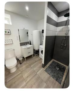 a bathroom with a toilet and a sink and a shower at Chez Melanie in Neuilly-le-Réal