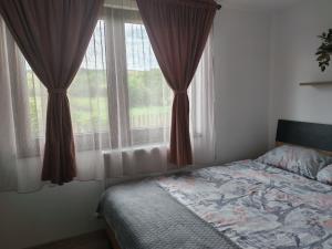 a bedroom with a bed and a large window at Căsuța Fodora in Fodora