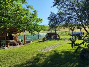 a view of a yard with a body of water at Căsuța Fodora in Fodora