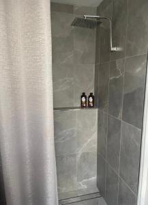 a bathroom with a shower with two bottles on a shelf at Overwater on the Murray in Murray Bridge +11 photos