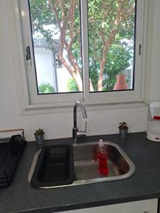 a sink in a kitchen with a window at Studio plain pied in Saint-Pierre +13 photos