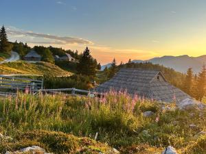 a house on a hill with a field of flowers at Koča Velika Planina - Chalet Kamrica in Stahovica