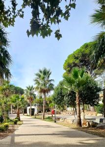 a street with palm trees on the side of a road at camping des 7 fonts in Agde