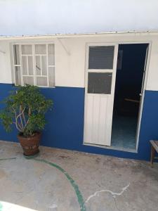 a building with a door and a potted plant at Studio Azul in Tlaxcala de Xicohténcatl