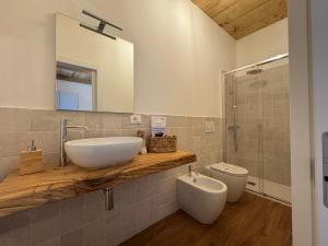 a bathroom with a sink and a toilet and a mirror at Casa Guidi in Santa Sofia +22 photos