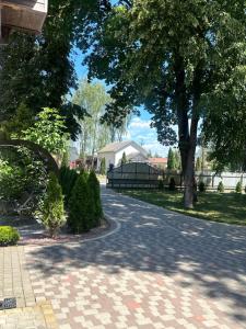 a cobblestone street with a tree and a house at Білий птаха in Svityazʼ