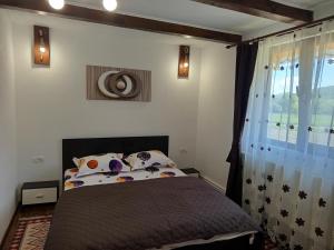 a bedroom with a bed and a window in it at Bunătăți din Retezat in Nucşoara