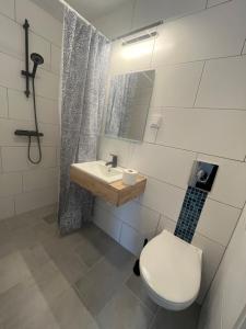a bathroom with a toilet and a sink at Drottning Ödas Boende in Degerhamn