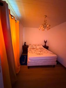 a small bedroom with a bed and a chandelier at Le petit meublé des hauts in Grande Ravine