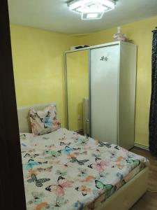a bedroom with a bed and a closet at D&ATurism in Băile Govora