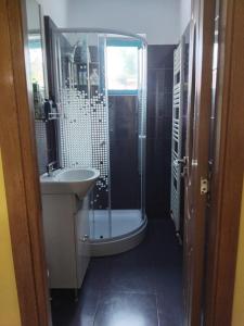 a bathroom with a shower and a sink and a tub at D&ATurism in Băile Govora