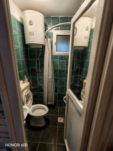 a small bathroom with a toilet and a sink at Trpejca Аpartment Nikola in Trpejca