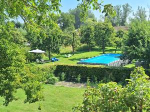 a swimming pool in a yard with a hedge at Hof van Eden in Ophemert