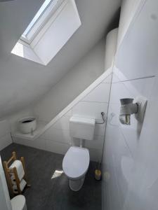 a bathroom with a toilet and a skylight at The sanctuary ljubljana in Ljubljana +38 photos