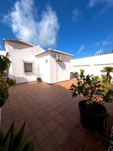 a white building with a courtyard with a potted plant at Chalet Matalascañas in Matalascañas
