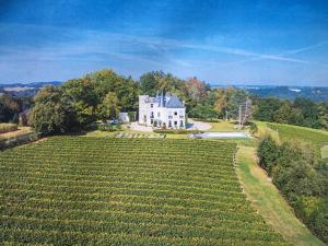 an aerial view of a large house in a field at Chateau Mont Joly in Gan