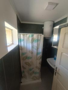 a bathroom with a shower curtain with a toilet at "Poetsko ćoše" Nikole Tesle 86 in Morović