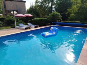 a child in a raft in the water in a swimming pool at Moulin De Ladausse in Monflanquin +12 photos