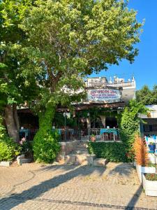 a tree in front of a restaurant with a building at Kalimerhaba Motel Restaurant in Gokceada Town