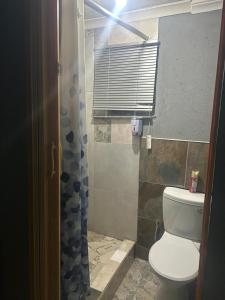 a bathroom with a toilet and a shower at Lake boutique hotel empire in Thohoyandou +41 photos