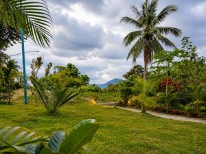 a park with a palm tree and a grass field at Kopan House View Point by WildFlower in Thong Sala