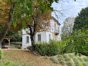 an old white house with a tree in front of it at Villa Rosazza in San Salvatore Monferrato