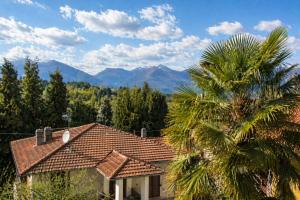 a palm tree in front of a house with mountains in the background at Shila House in Luino