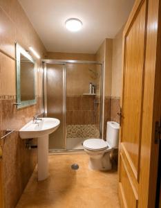 a bathroom with a shower and a toilet and a sink at Apartamento Turistico San Cristobal in Plasencia