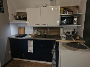 Cuina o zona de cuina de Unit Lakeview