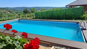 a swimming pool with red flowers in front of it at Brvnara Beni in Vrdnik