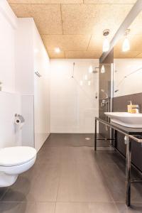 a bathroom with a toilet and a shower and a sink at Apartamenty Zieleniec in Duszniki Zdrój +114 photos