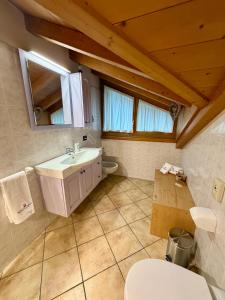 a bathroom with a sink and a toilet at Rosengarden Alpine Residence in Valdidentro +43 photos