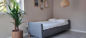 a bed in a room with a potted plant at Apartment Sollid - Your comfortable accommodation in Huskvarna