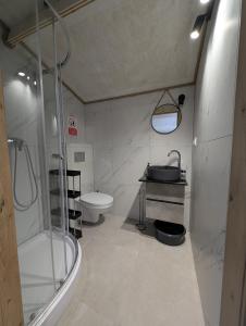 a bathroom with a shower and a toilet and a sink at Apartamenty na Widoku Chłopy in Chłopy +97 photos