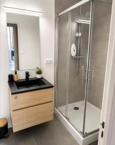 a bathroom with a shower and a sink at ANGLET, Chambre privée, QUARTIER CENTRAL in Anglet