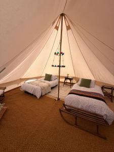 a marquee with two beds in a tent at Apuldram Roses in Appledram +26 photos