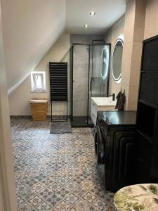 a bathroom with a shower and a sink and a toilet at Green House Giławy in Giławy