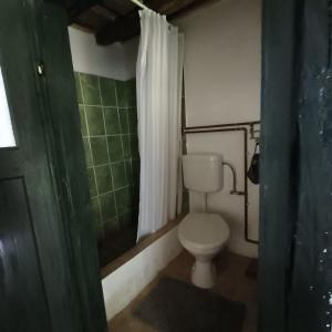 a small bathroom with a toilet and a shower at Valchid Guest House in Valchid