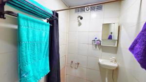 a bathroom with a blue shower curtain and a sink at Apartamento MADERO in Buenos Aires