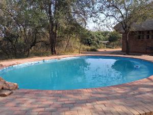 a swimming pool with blue water in a yard at Bushveld Bliss in Marloth Park