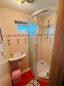 a bathroom with a shower and a sink at Apart-Bungalovy Gitka in Mlynčeky