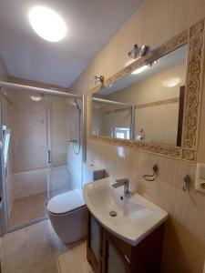 a bathroom with a toilet and a sink and a shower at VILA v ZAHRADÁCH in Uherské Hradiště +42 photos