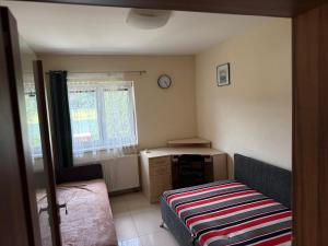 a bedroom with a bed and a desk and a window at Chata U Druhé pískovny in Roudná +13 photos